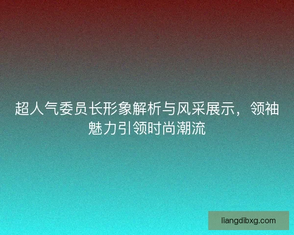 超人气委员长形象解析与风采展示，领袖魅力引领时尚潮流